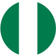 selected-country-icon